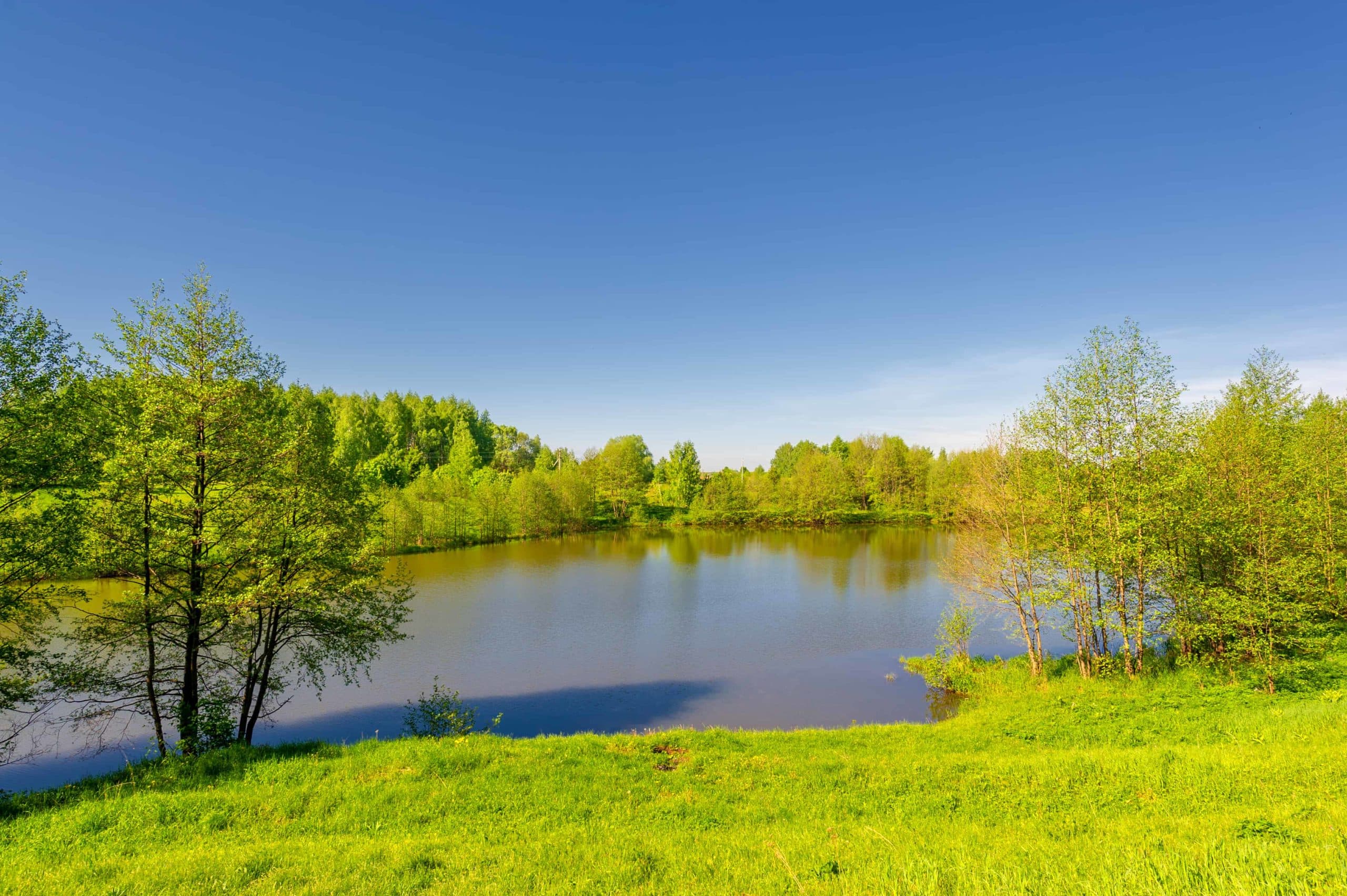 Paddleboarding on the lakes at Duncton Mill