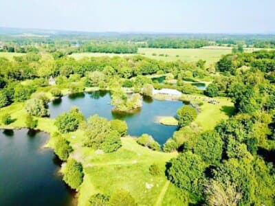 Aerial view of the three lakes at Duncton Mill